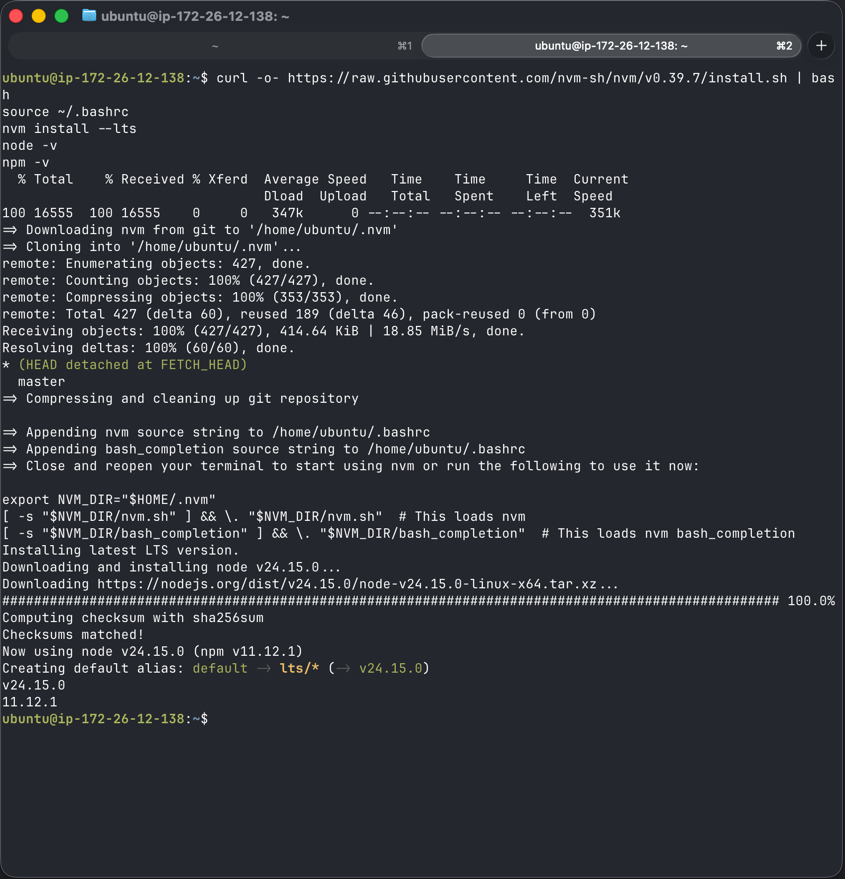 Node.js and npm version check